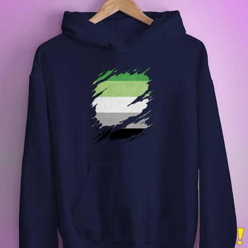 Aromantic Pride Flag Ripped Reveal Hoodie - Navy